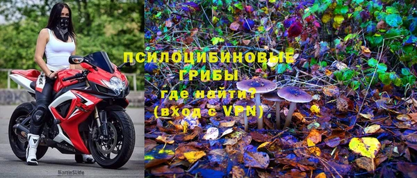 ГАЛЛЮЦИНОГЕННЫЕ ГРИБЫ Беломорск