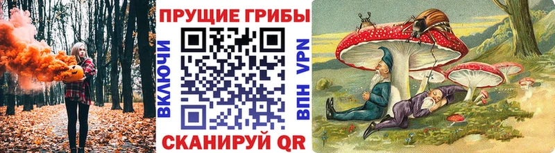 OMG tor  Няндома  Галлюциногенные грибы Psilocybe 